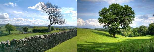 Countryside Code